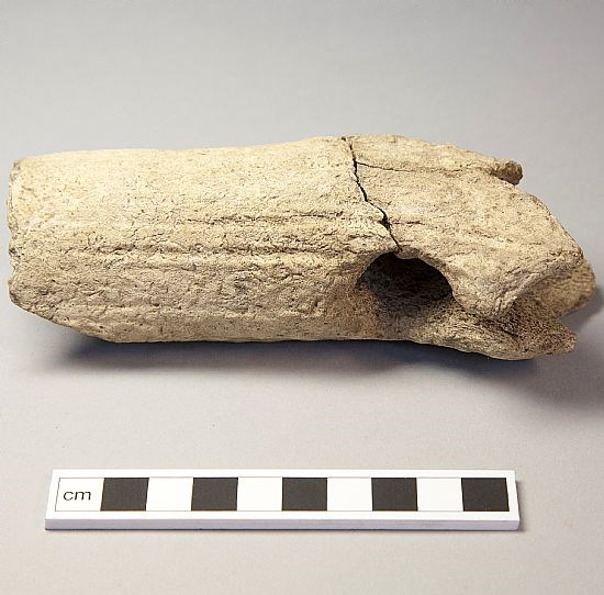 One of the Tarradale T axes.